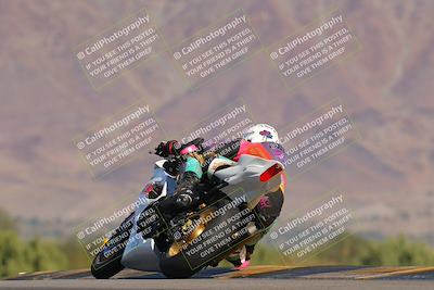 media/Nov-12-2023-SoCal Trackdays (Sun) [[5d1fba4e7d]]/Turn 9 Backside (1015am)/